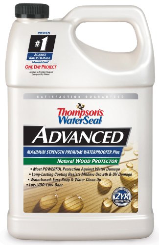 Thompson's WaterSeal Natural Wood Protector