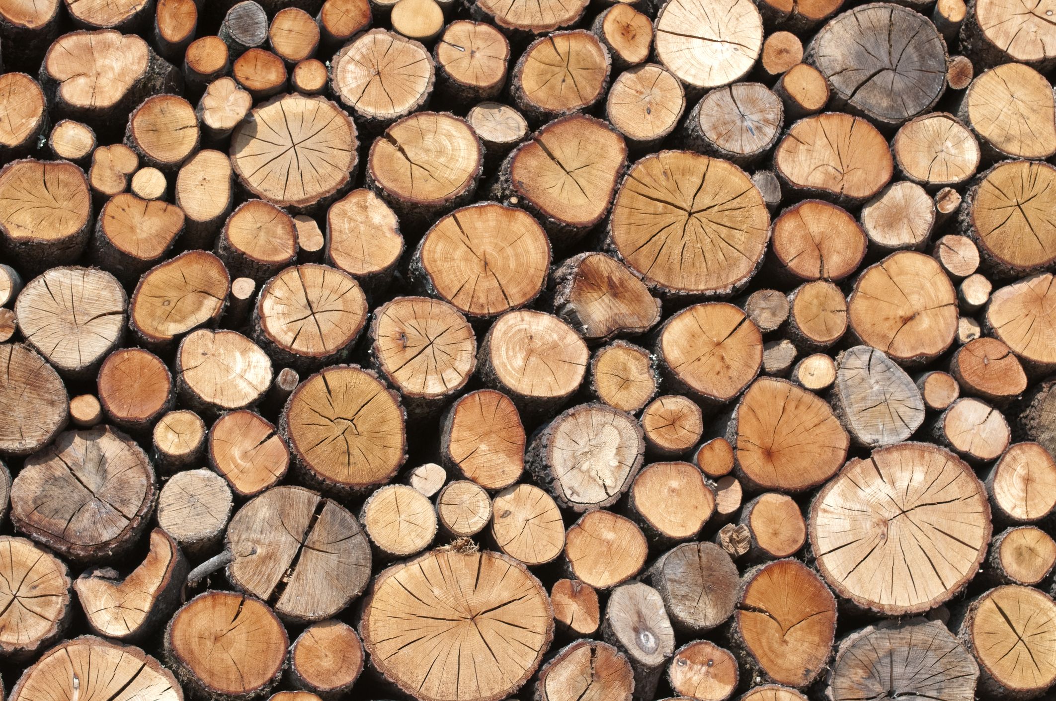best wood for wood burning