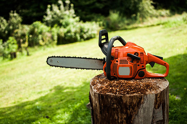chainsaw for homeowners