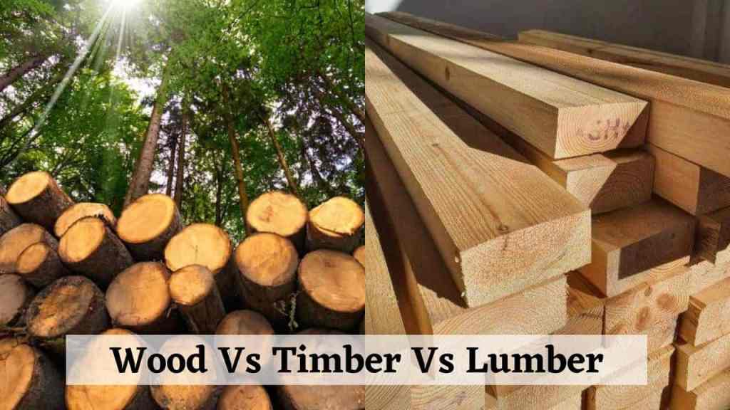 Difference Between Wood And Timber | What Is Wood | What Is Timber | What Is Lumber