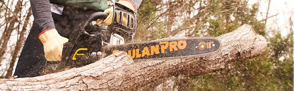 Amazon.com : Poulan Pro PR4016, 16 in. 40cc 2-Cycle Gas Chainsaw : Patio, Lawn & Garden