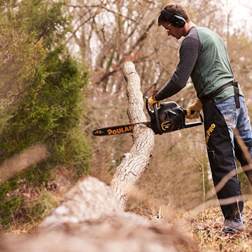 Poulan Pro PR4218, 18 in. 42cc 2-Cycle Gas Chainsaw, Case Included : Amazon.in: Garden & Outdoors